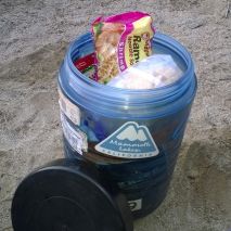 bear canister_preview