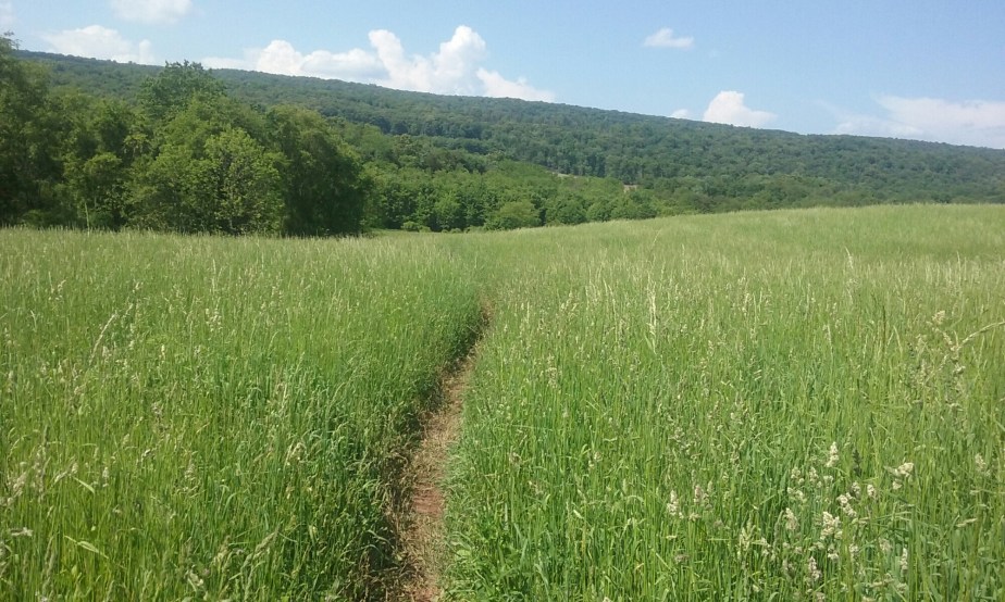 Appalachian trail