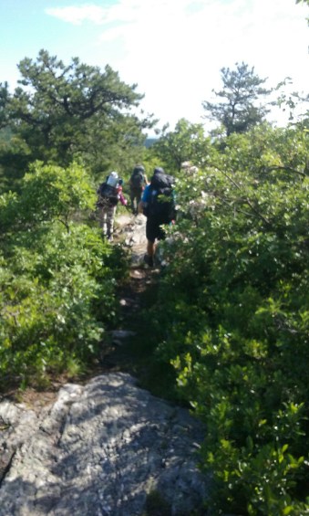 wp-1465344781022 image