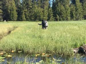 African American woman hiker