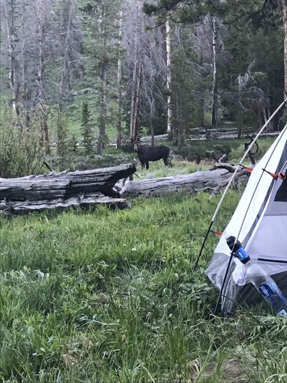 received_1363619600418694