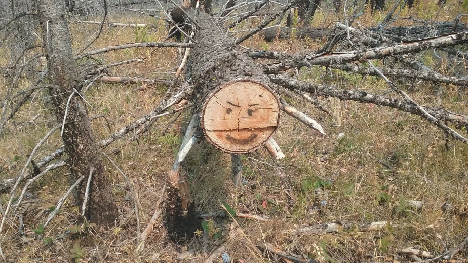 So close but yet so&nbsp;far